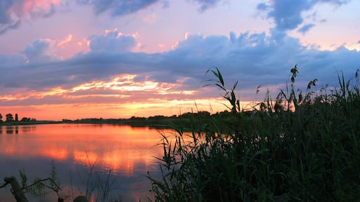 A sunset over a calm lake with reflections of the sky, surrounded by trees and tall grasses.
