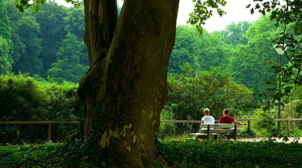 Botanischer Garten Rombergpark