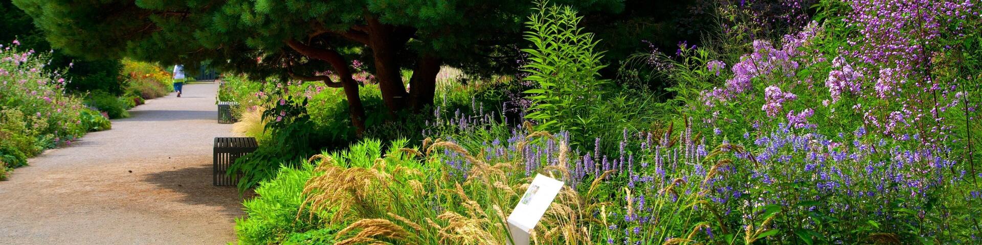 Phoenix-West featuring wildflowers and a park