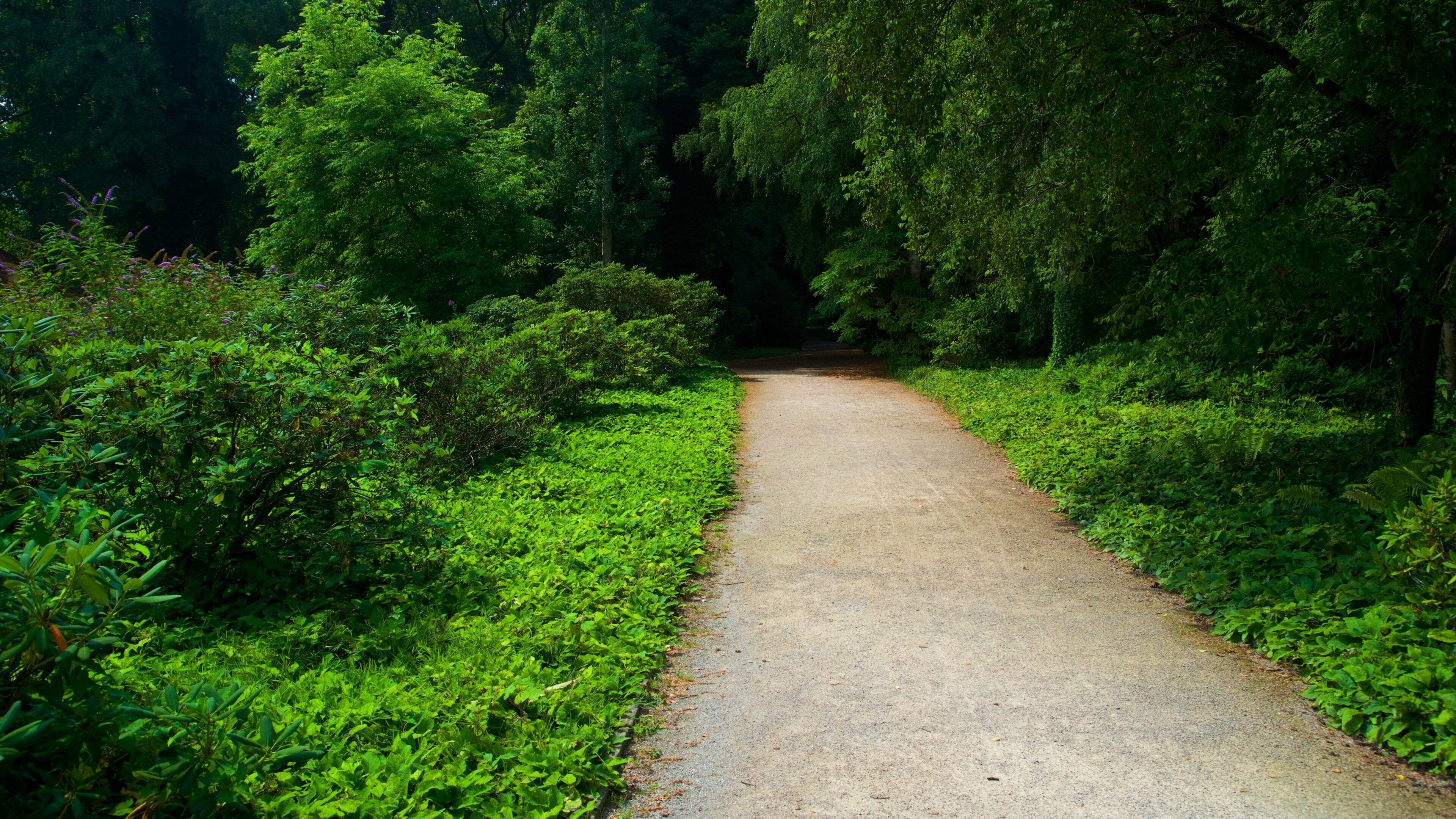 Phoenix-West showing a park