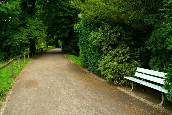 Botanischer Garten Rombergpark