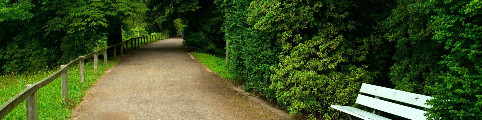 Rombergpark Botanical Garden