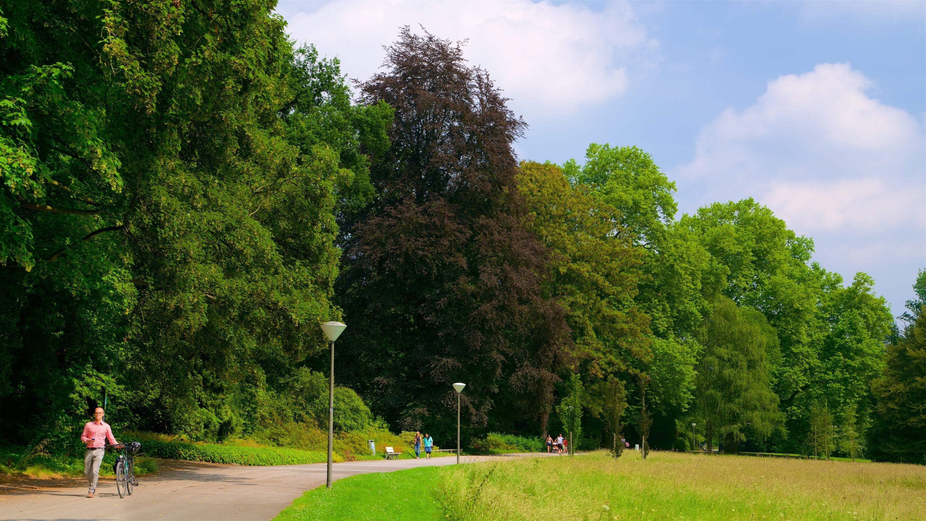 Giardino Botanico di Rombergpark