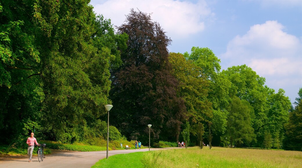 Giardino Botanico di Rombergpark