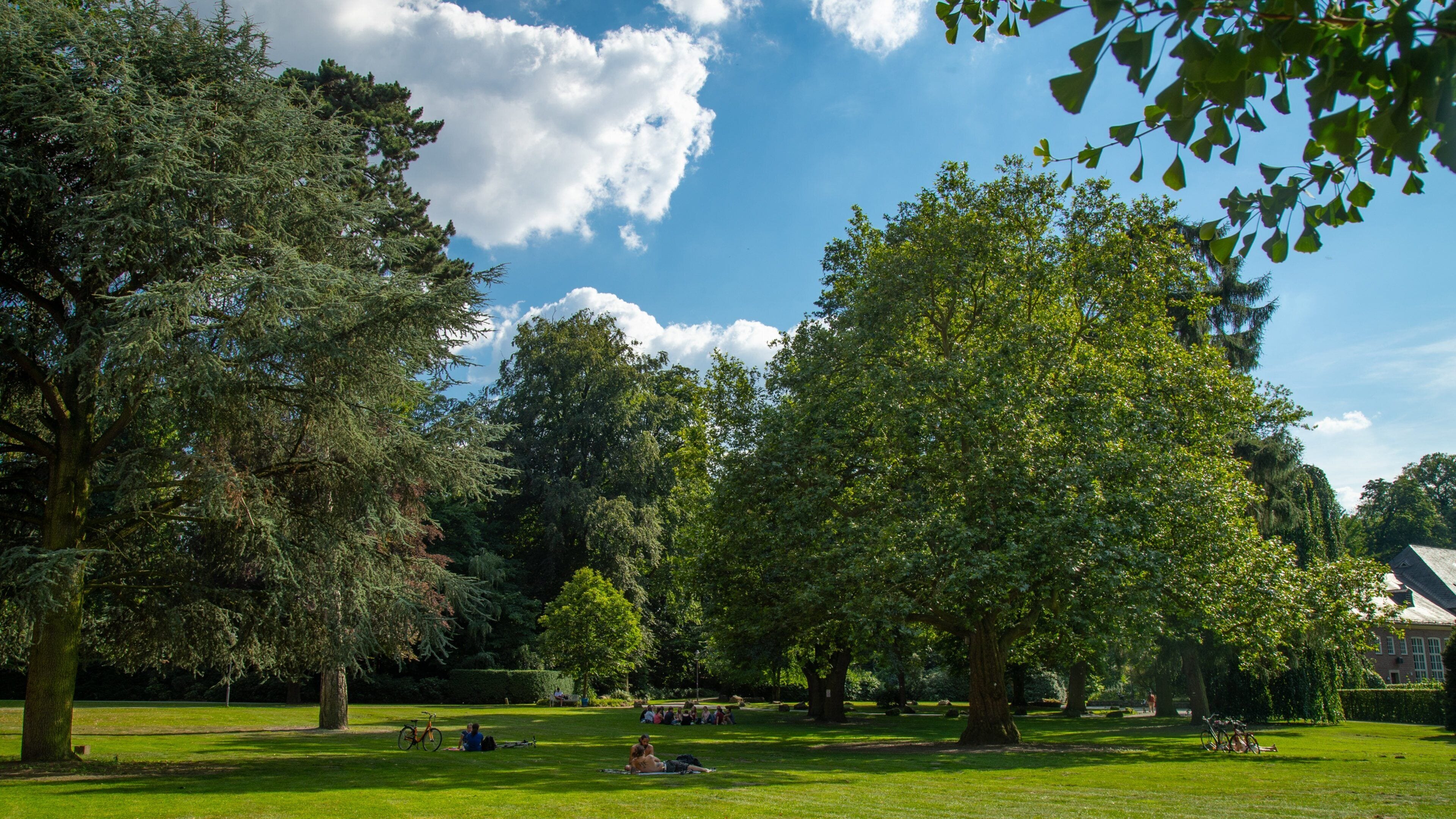 Münster Botanical Garden which includes a garden
