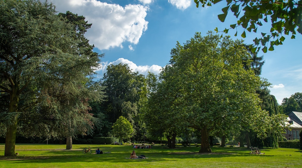 Münster Botanical Garden which includes a garden