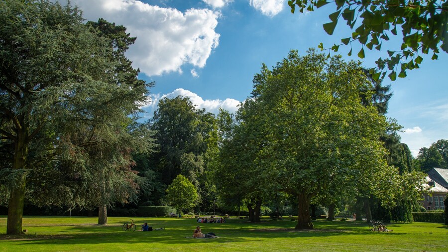 Münster Botanical Garden which includes a garden