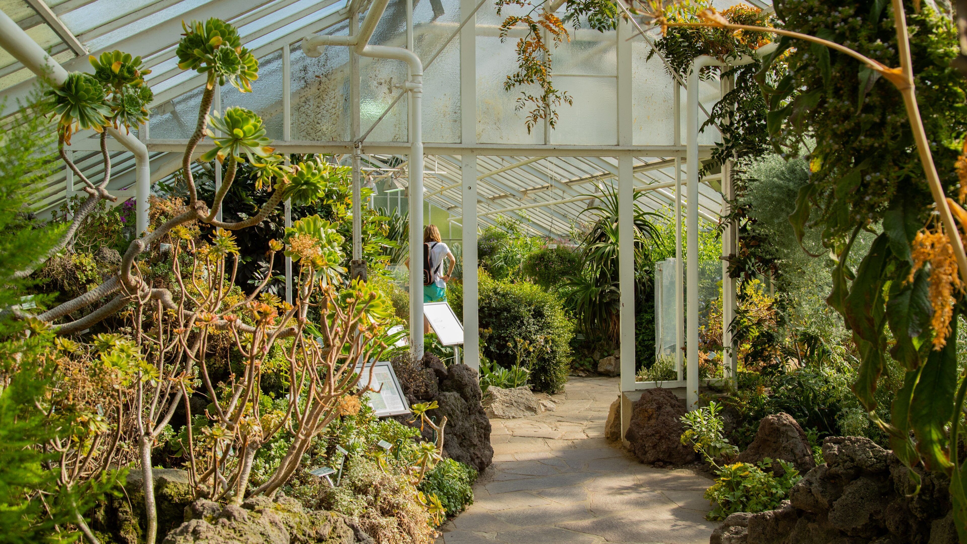 Münster Botanical Garden featuring a park