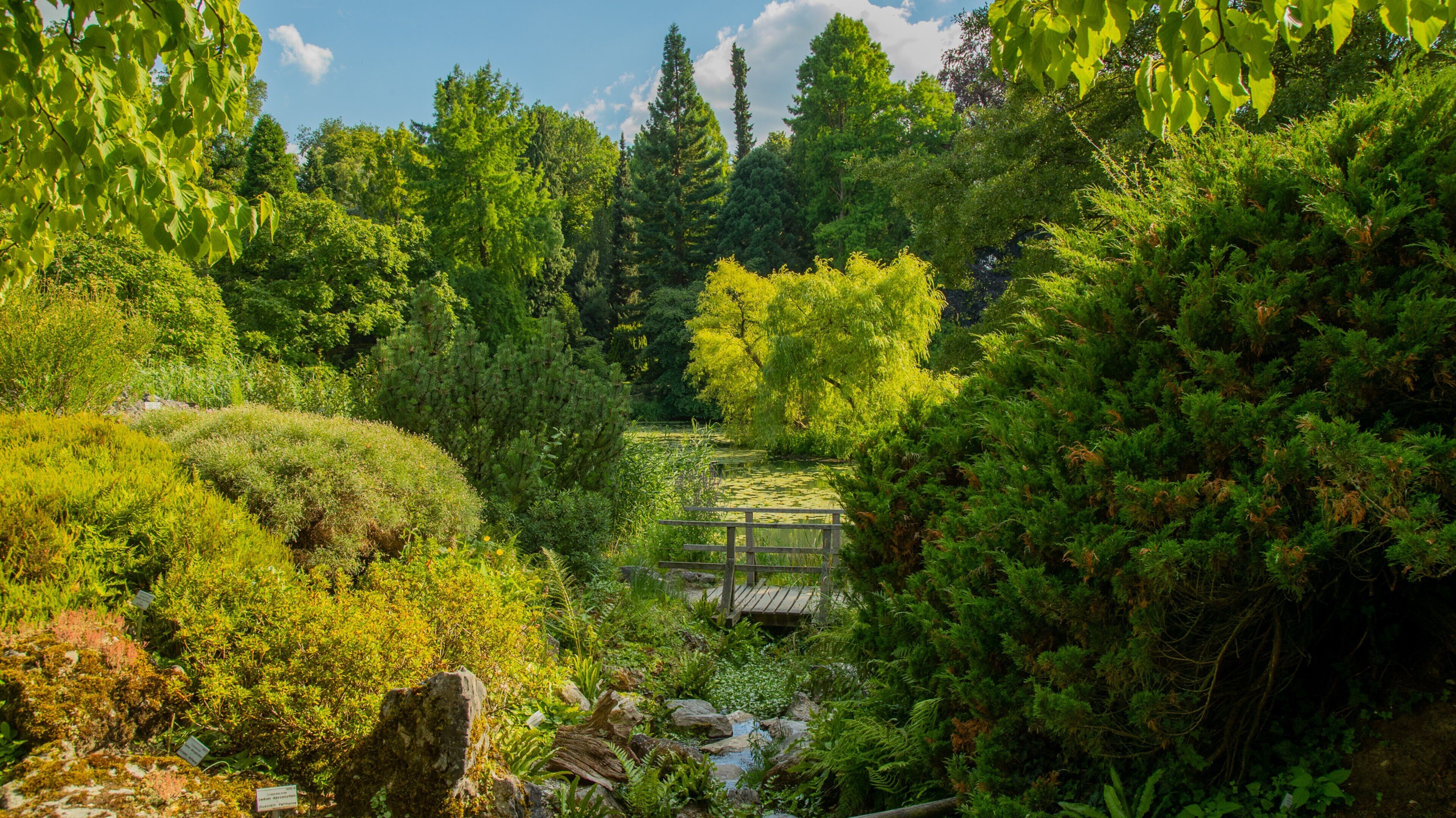 Münster Botanical Garden which includes a park and a river or creek