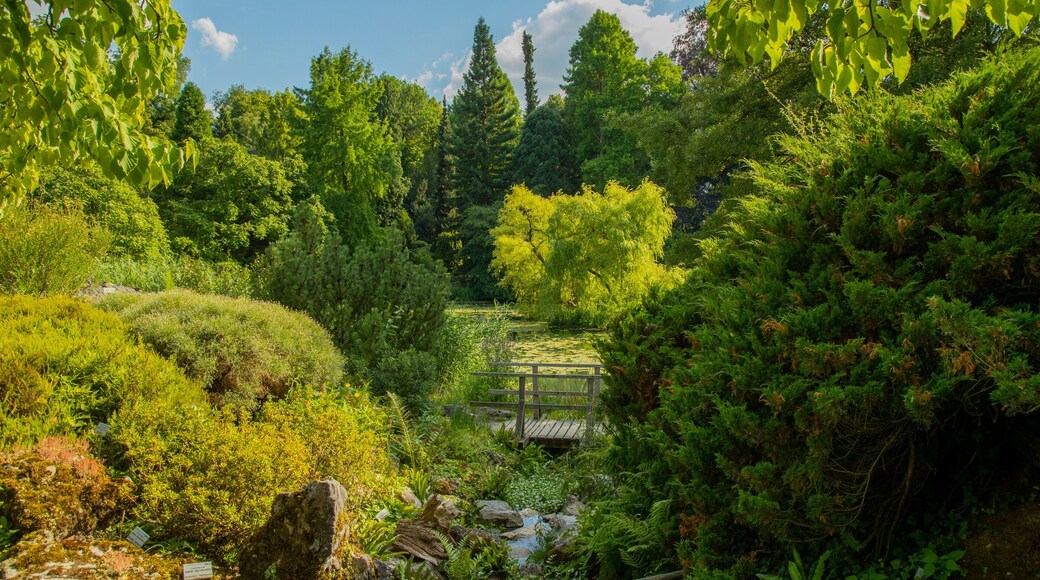 Münster Botanical Garden which includes a park and a river or creek