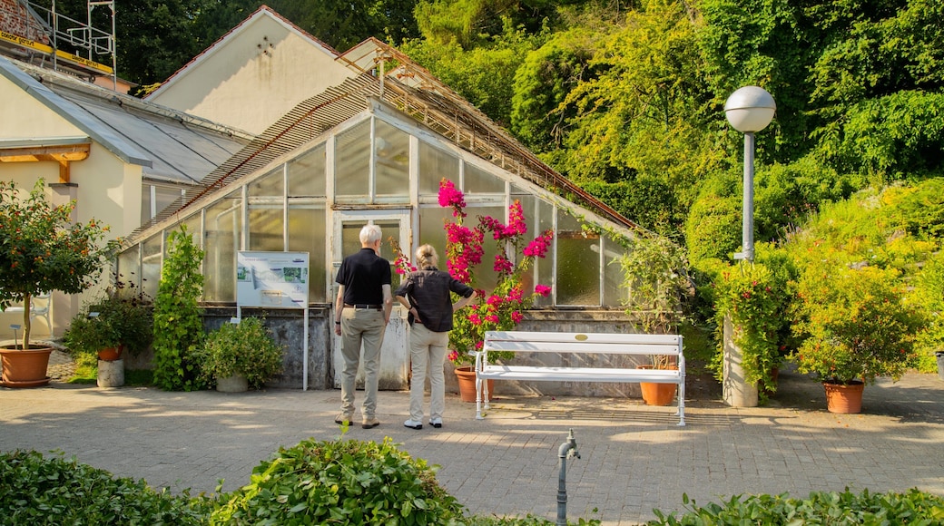 Münster Botanical Garden showing flowers and a park as well as a couple