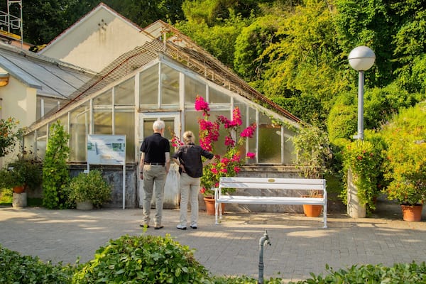 Münster Botanical Garden showing flowers and a park as well as a couple