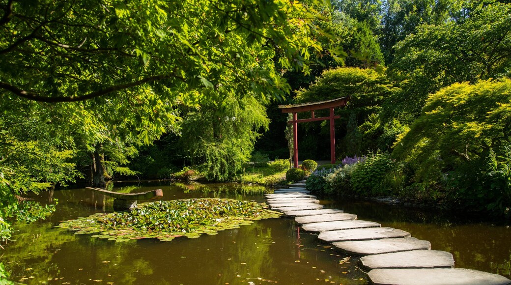 Westfalenpark Dortmund which includes a park and a pond