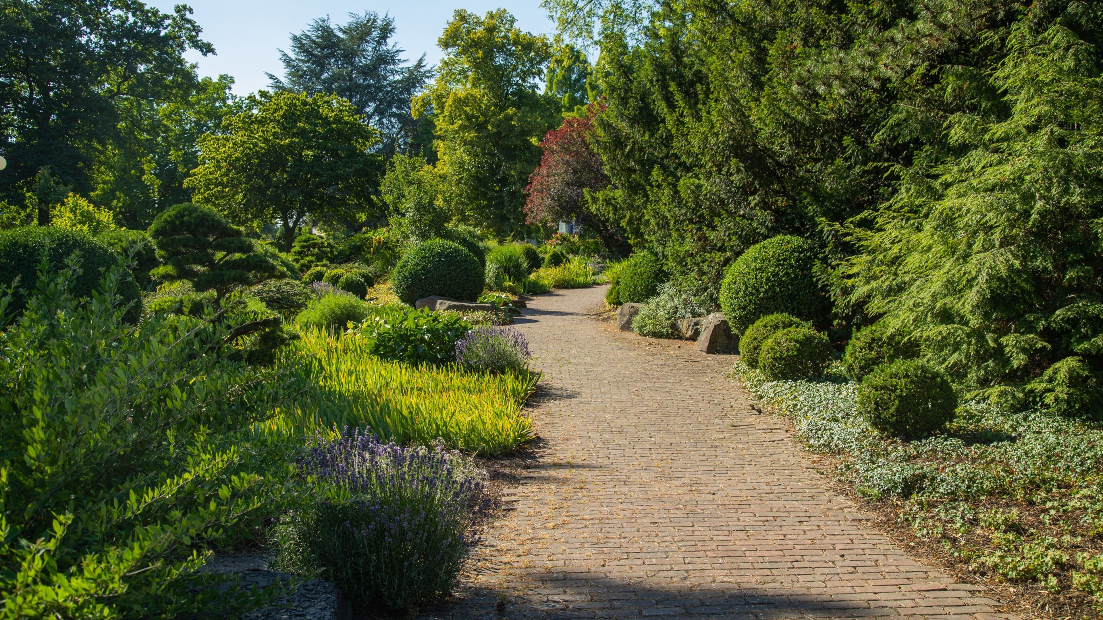 Westfalenpark Dortmund featuring a park