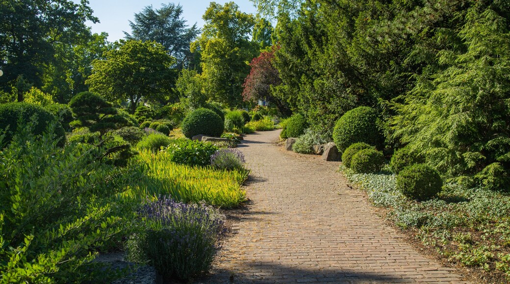 Westfalenpark Dortmund featuring a park