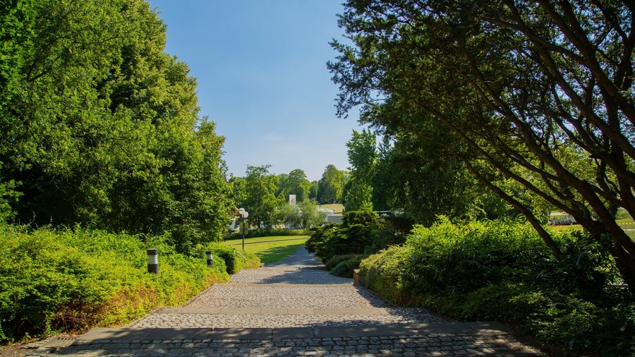 Westfalenpark Dortmund showing a park
