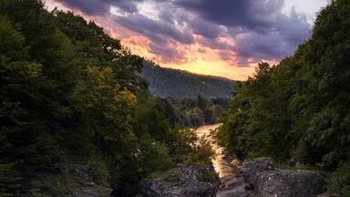 A river flowing through a rocky gorge surrounded by dense forest.