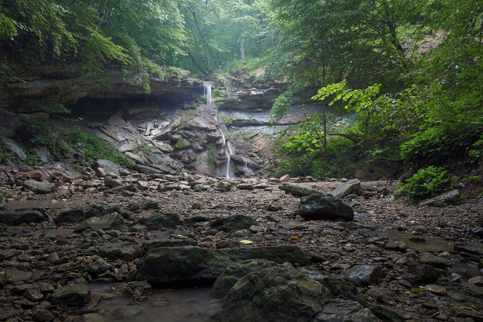 Jungle of Adygea or on the way to "Big Hadzhoh"

Shooting during the rain is amazing!