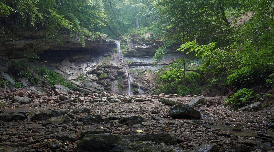 Jungle of Adygea or on the way to "Big Hadzhoh"
Shooting during the rain is amazing!