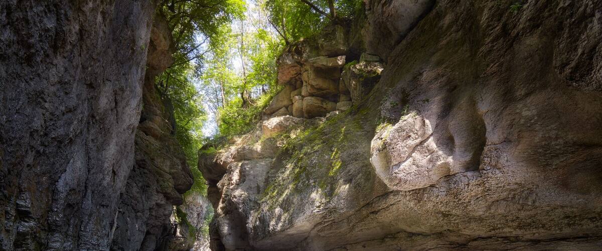 A narrow canyon with a calm river, rocky walls, and sunlight filtering through trees.