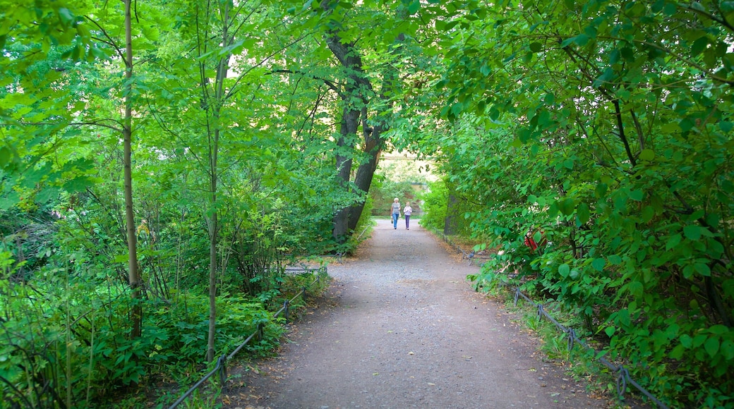 Anna Akhmatova-museet fasiliteter samt park
