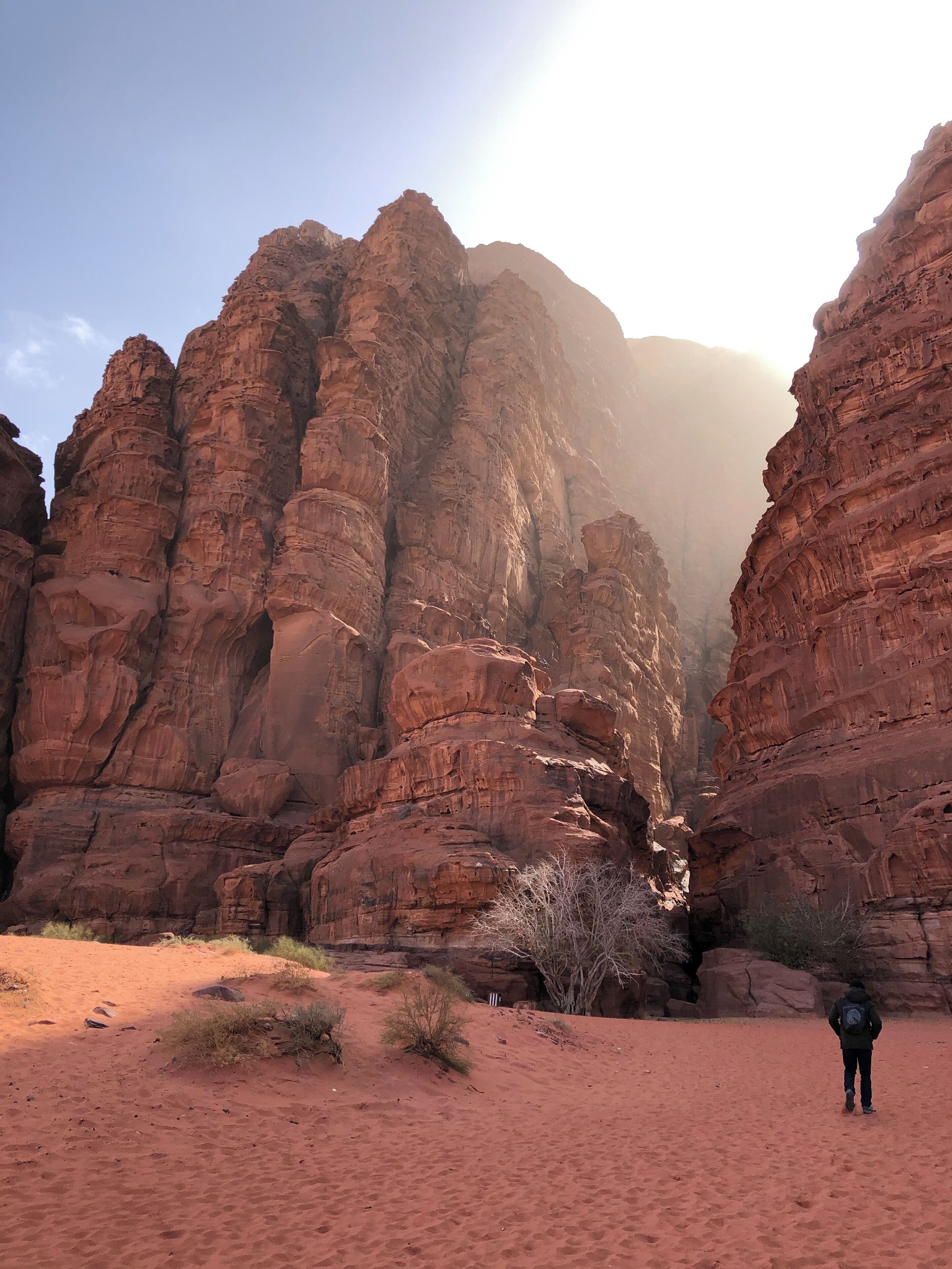 Khazali canyon or Jabal Khazali is of importance in Wadi Rum desert, because it is an area where water collects in this region and hence considered blessed and holy since age old. Once you enter the narrow fissure of the canyon you will find inscriptions and rock art of 3 different types: South Safaitic, Thamudic E Inscriptions or Hismaic, the Arabic inscriptions in the Kufic scripts, and finally petroglyphs that depicts flora and fauna of the region. #wadirum #landoffables #arabiandesert #History