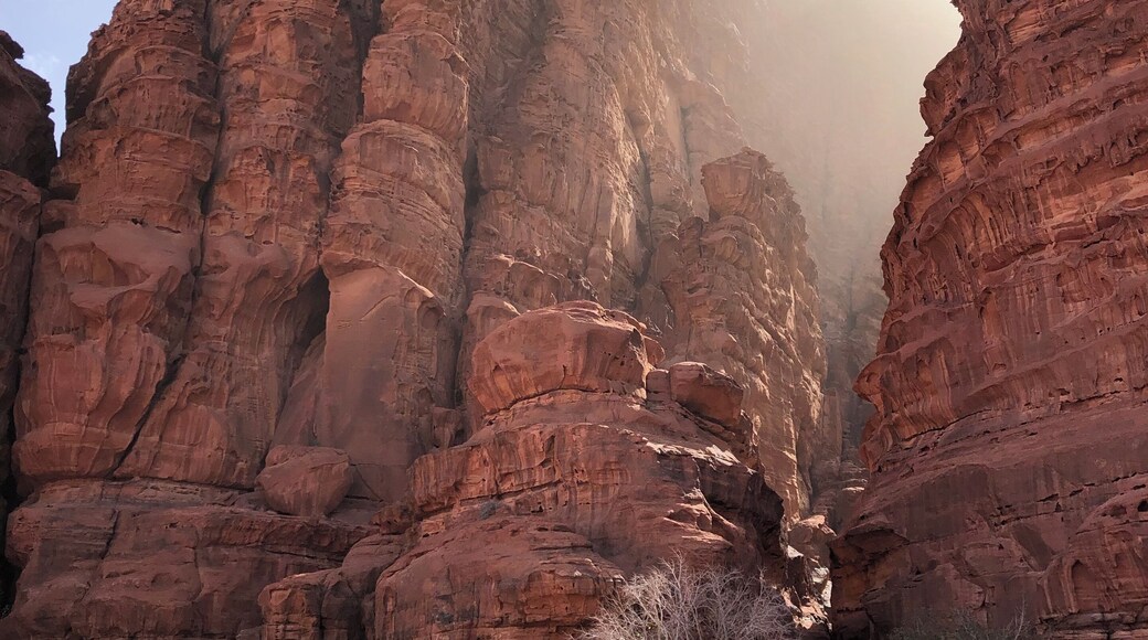 Khazali canyon or Jabal Khazali is of importance in Wadi Rum desert, because it is an area where water collects in this region and hence considered blessed and holy since age old. Once you enter the narrow fissure of the canyon you will find inscriptions and rock art of 3 different types: South Safaitic, Thamudic E Inscriptions or Hismaic, the Arabic inscriptions in the Kufic scripts, and finally petroglyphs that depicts flora and fauna of the region. #wadirum #landoffables #arabiandesert #History