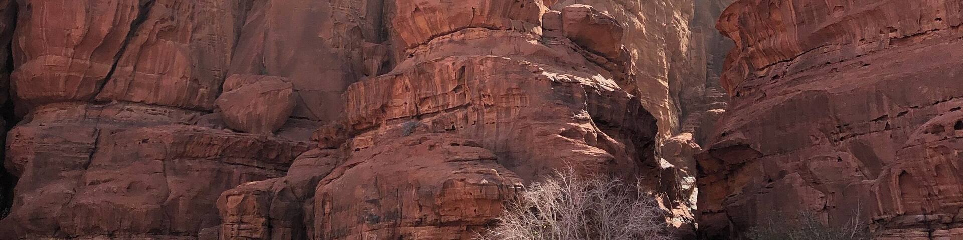 Khazali canyon or Jabal Khazali is of importance in Wadi Rum desert, because it is an area where water collects in this region and hence considered blessed and holy since age old. Once you enter the narrow fissure of the canyon you will find inscriptions and rock art of 3 different types: South Safaitic, Thamudic E Inscriptions or Hismaic, the Arabic inscriptions in the Kufic scripts, and finally petroglyphs that depicts flora and fauna of the region. #wadirum #landoffables #arabiandesert #History