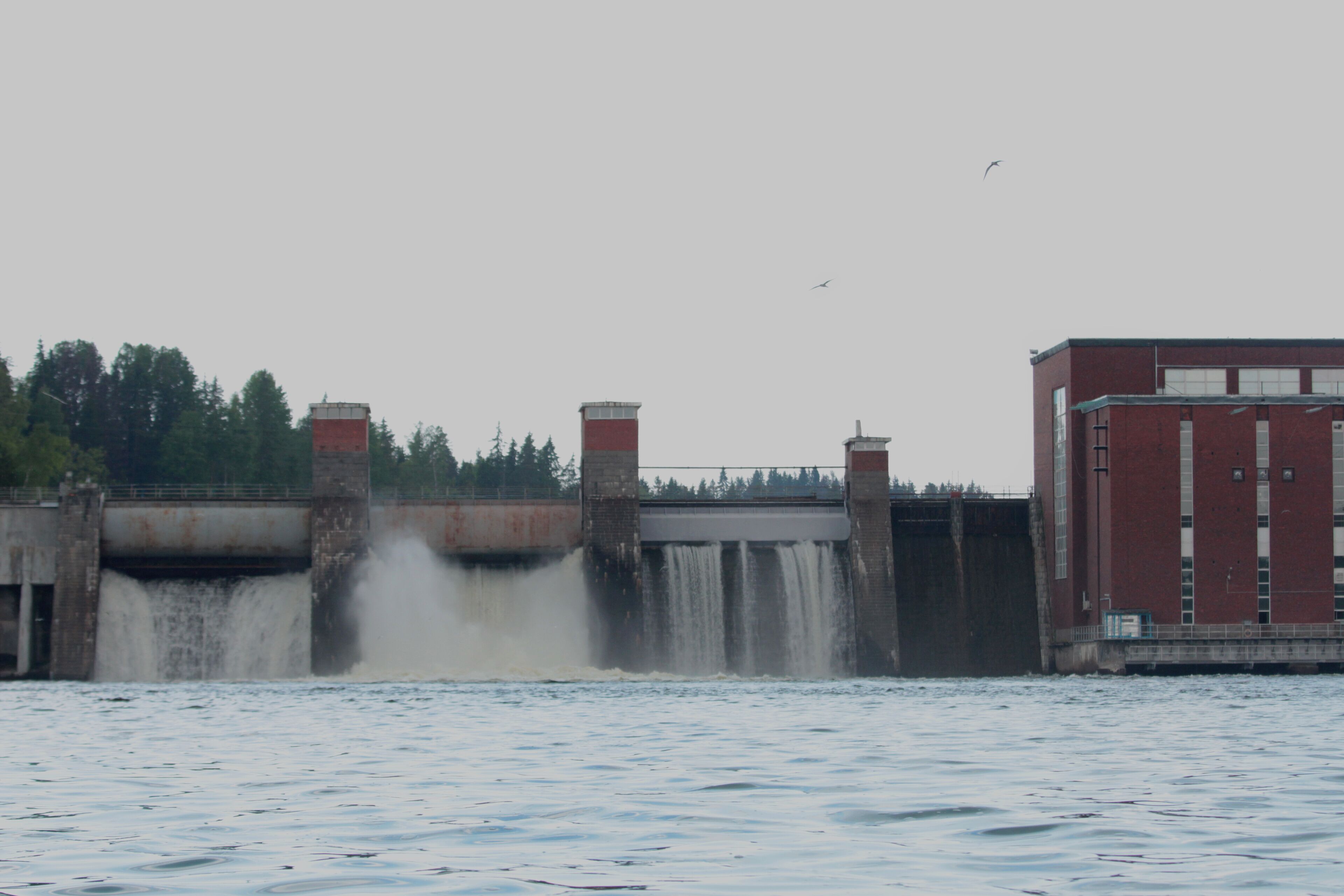 สเวทอกอร์สก์