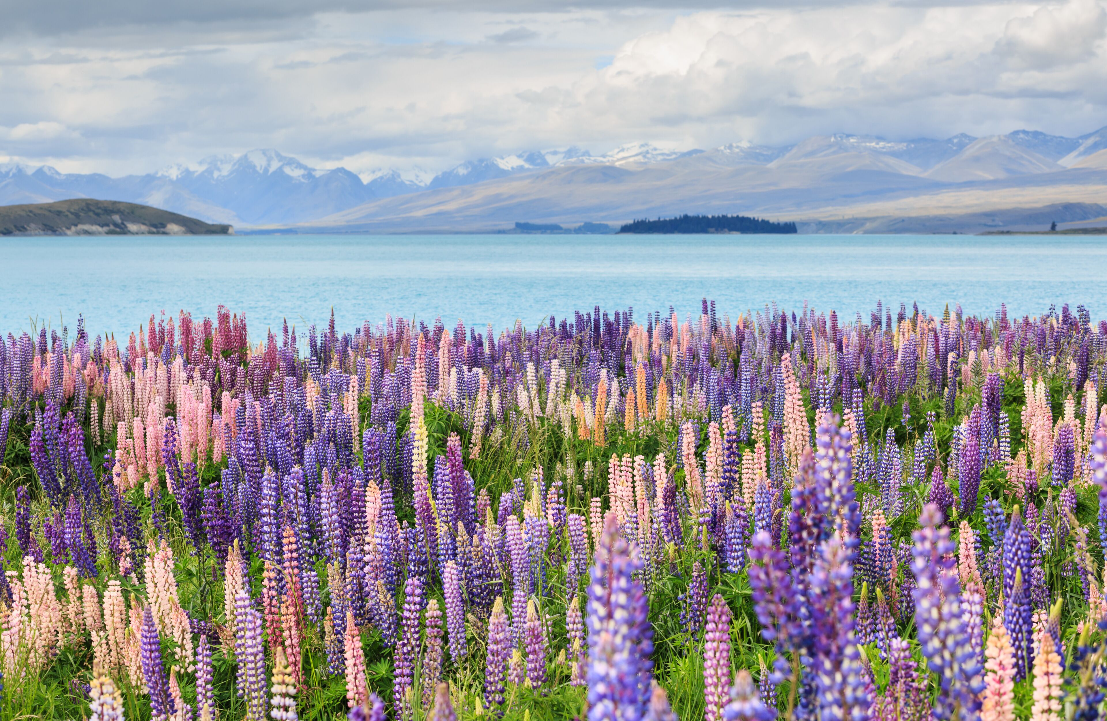 Lake Tekapo
