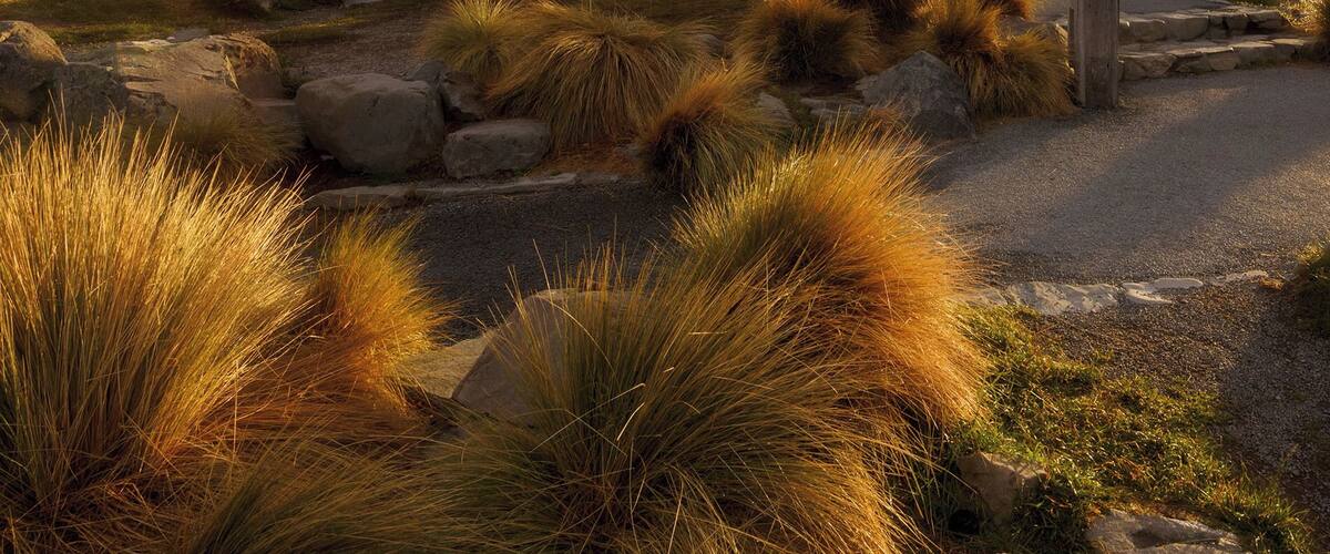 Church of the Good Shepherd - Lake Tekapo, NZ
One of the South Islands must see spots. Church of the Good Shepherd is a small, stone church situated on the shores of Lake Tekapo in New Zealand. The beautiful blue lake and the Southern Alps make a stunning background to one of the country's most photographed churches.
#weekendgetaway