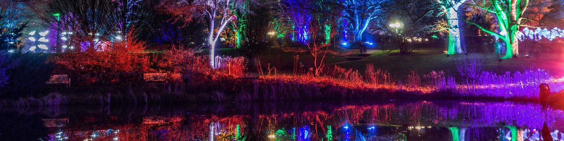 A tower with a lit top, surrounded by trees with colorful lights, reflecting in a body of water.