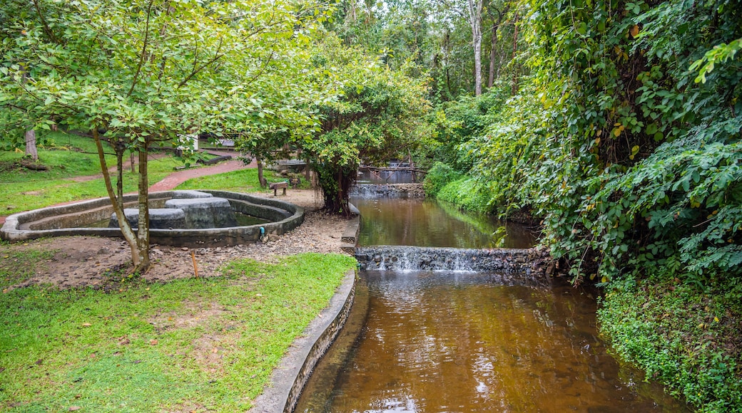 water pond at Pong Nam Ron Tha Pai hot spring.