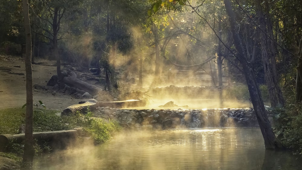 A misty forest with a small waterfall and a stone bridge.