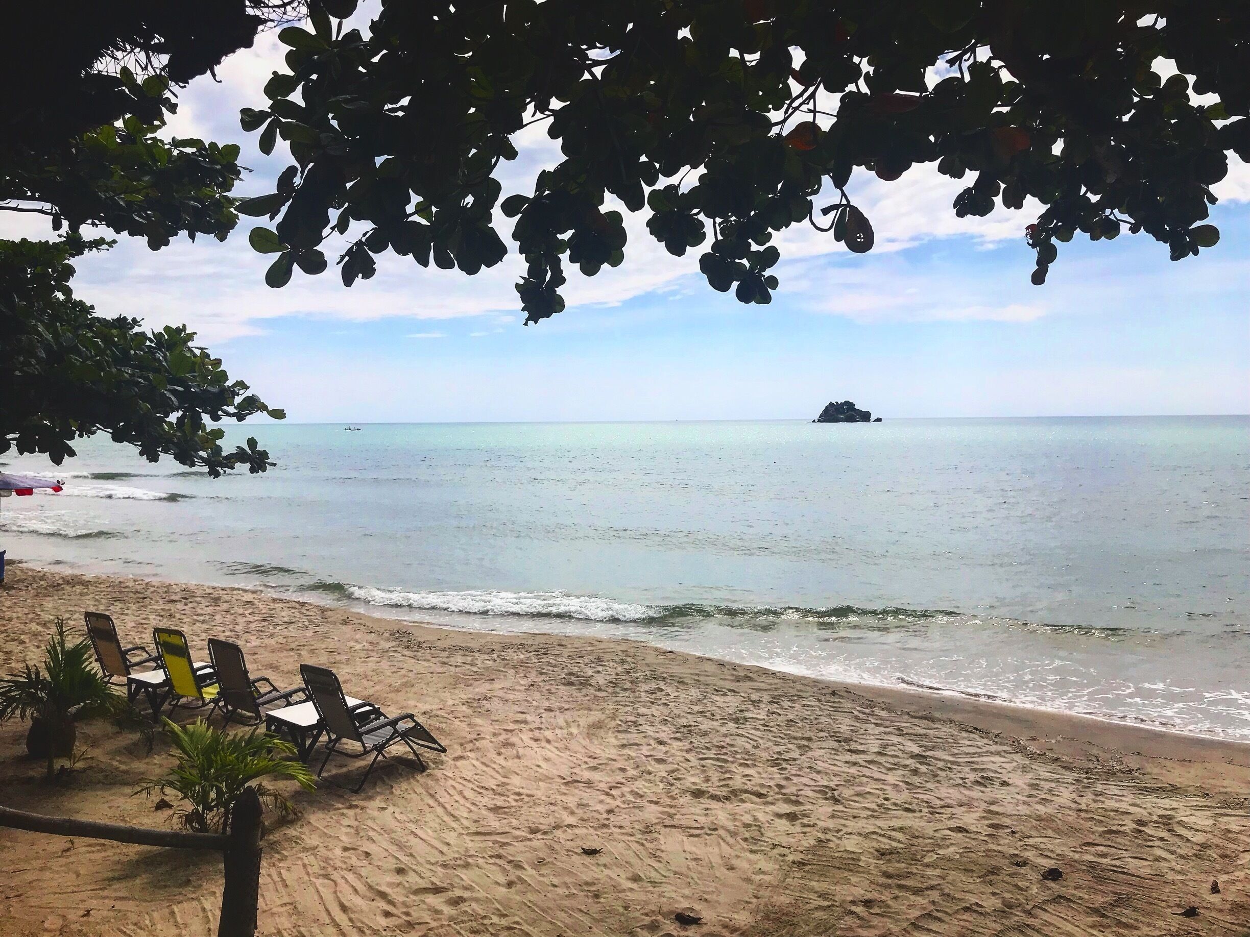 A beach with lounge chairs and palm trees.
