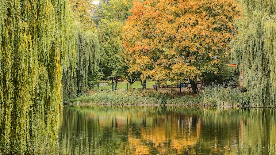 An autumn park with lake.