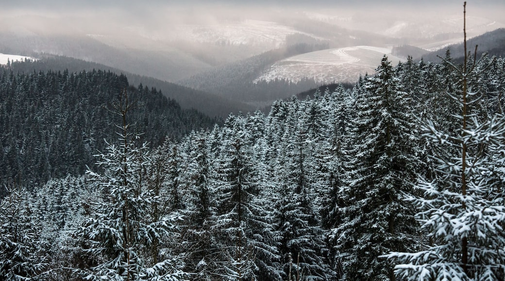 kahler asten winter landscape in germany