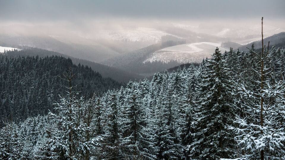 kahler asten winter landscape in germany