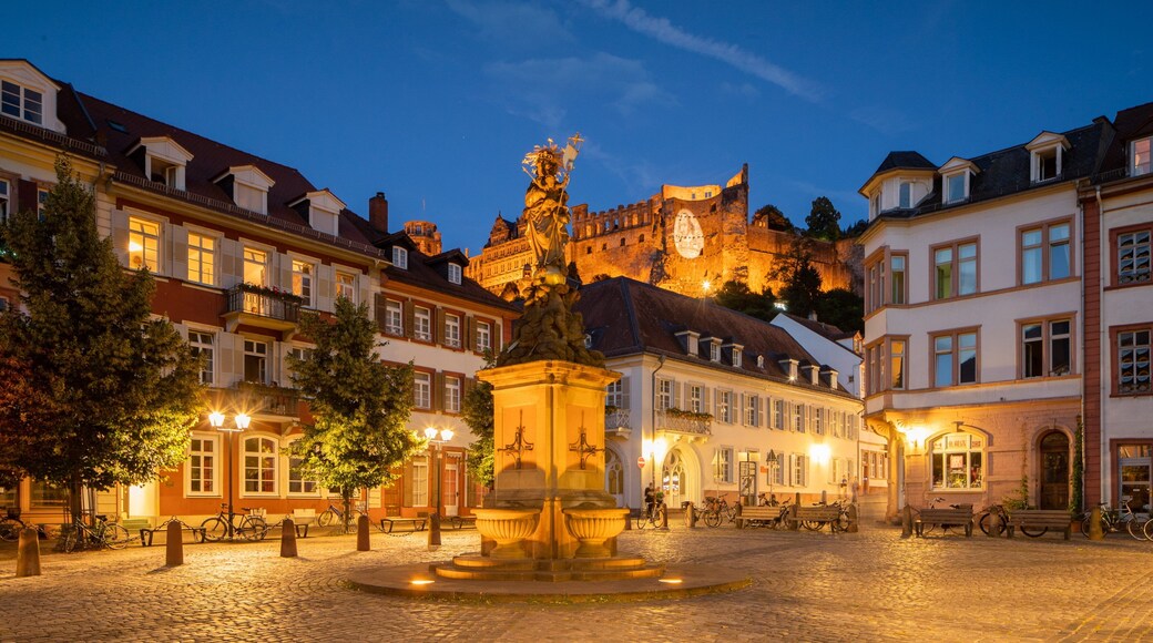 Altstadt which includes a square or plaza, a city and a fountain