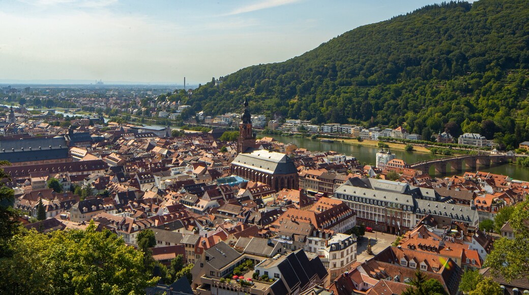 Altstadt showing landscape views, a city and a river or creek