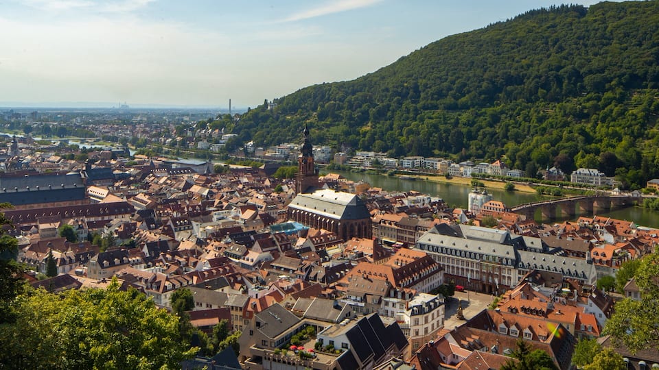 Altstadt showing landscape views, a city and a river or creek
