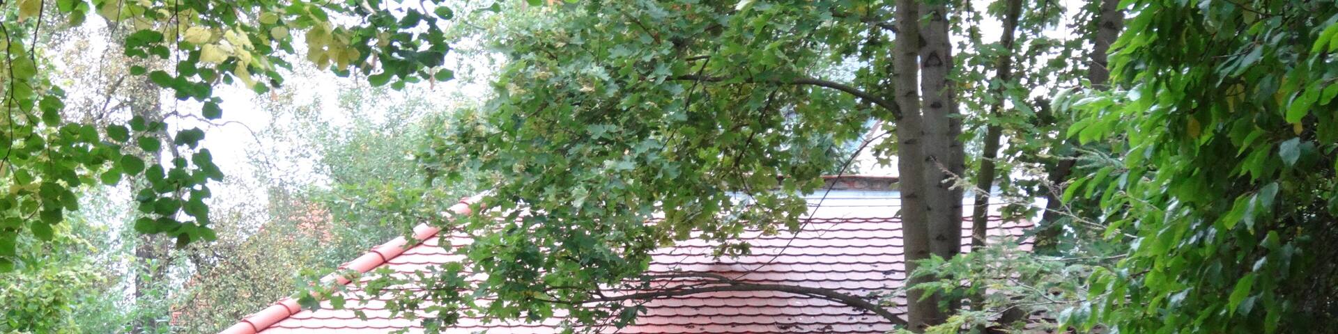 BeilstraĂe 19A, Dresden