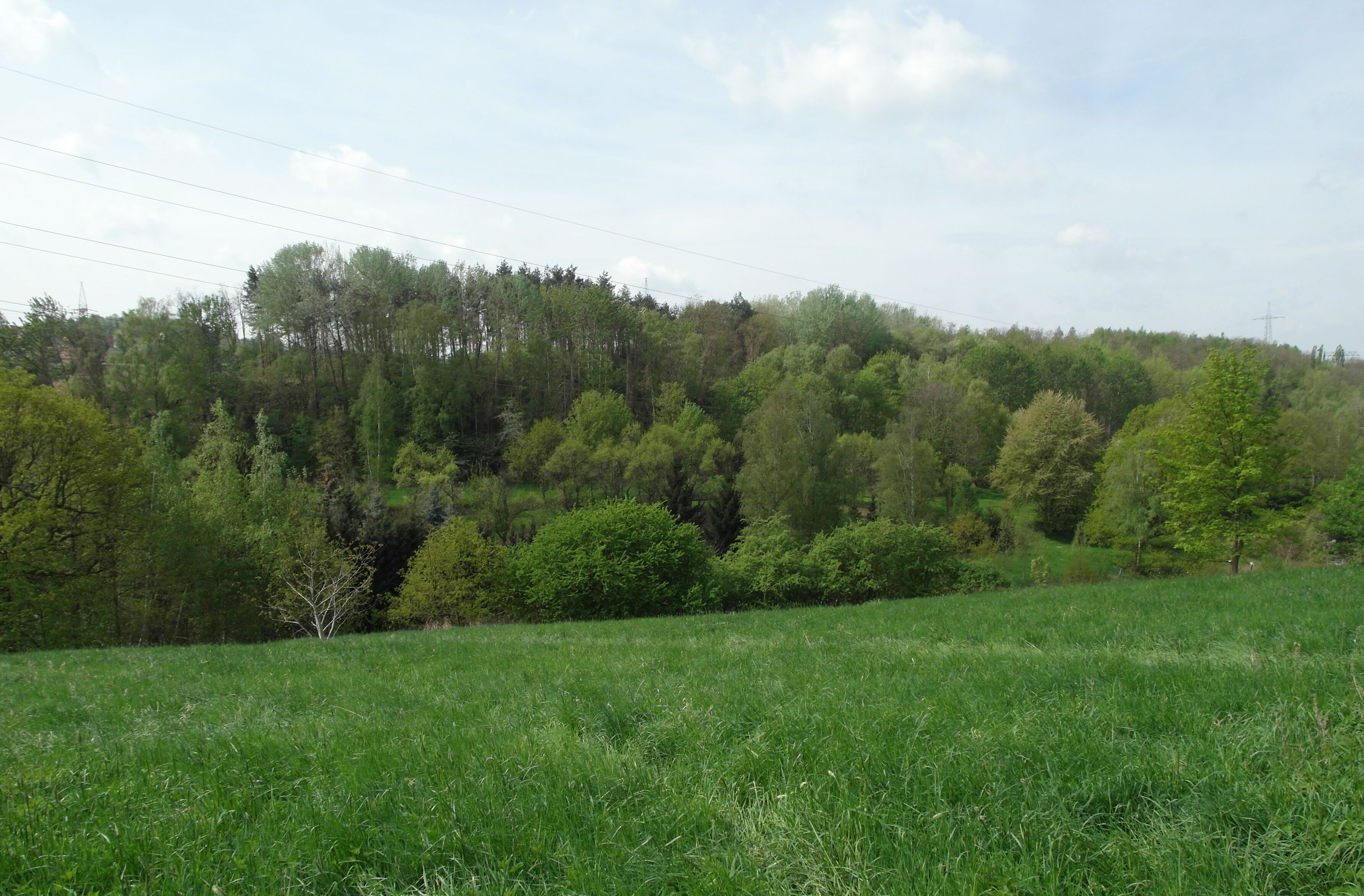 24.04.2018 01189 Dresden-Coschütz: Collmberghalde (GMP: 51.017595,13.681798), eine alte, geschlossene Mülldemponie im Straßengeviert Heidenschanze / Potschappler Straße / Freitaler Straße und Birkigter Straße. Nach dem Ende des Uranbergbaus von 1949 bis 1953 durch die Wismut lagerte die Stadtreinigung zwischen 1965 und 1974 hier kommunalen Müll, Asche aus Kraftwerken und Bauschutt ab. Aber auch Reste von Uranerz sind darunter und führen zur Strahlenbelastung. Für 8 Millionen Euro soll die Halde bis 2022 saniert werden. Hier die Sicht von der Straße Heidenschanze (GMP: 51.018231,13.692419) nach Südwesten zu bewachsenen Halde. [SAM5437.JPG]20180424100DR.JPG(c)Blobelt