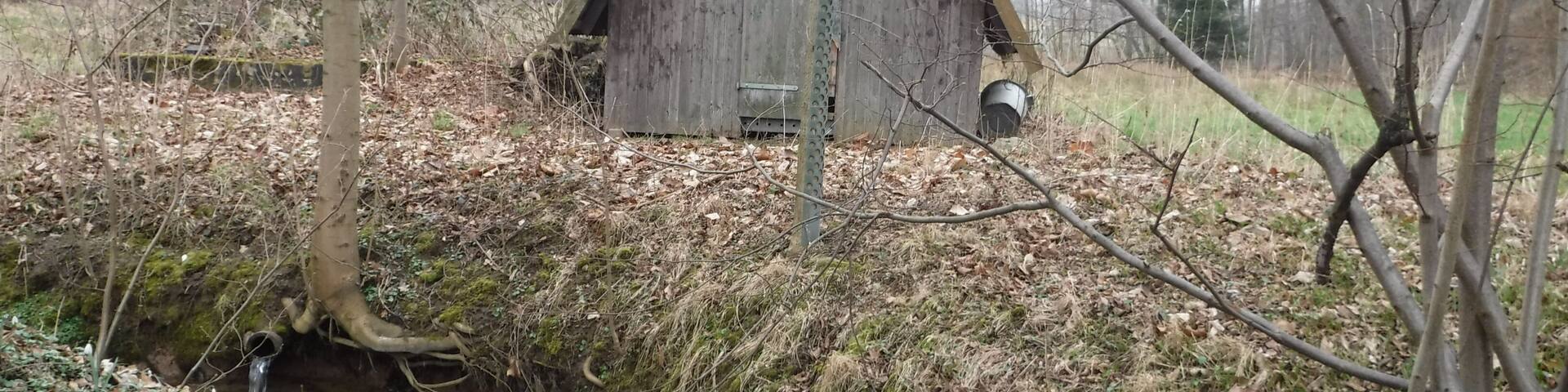 Steinbach kurz vor seinem Zufluss in den Zschonerbach; dazu eine Hütte und eine Brücke der A17 über die Grundstraße