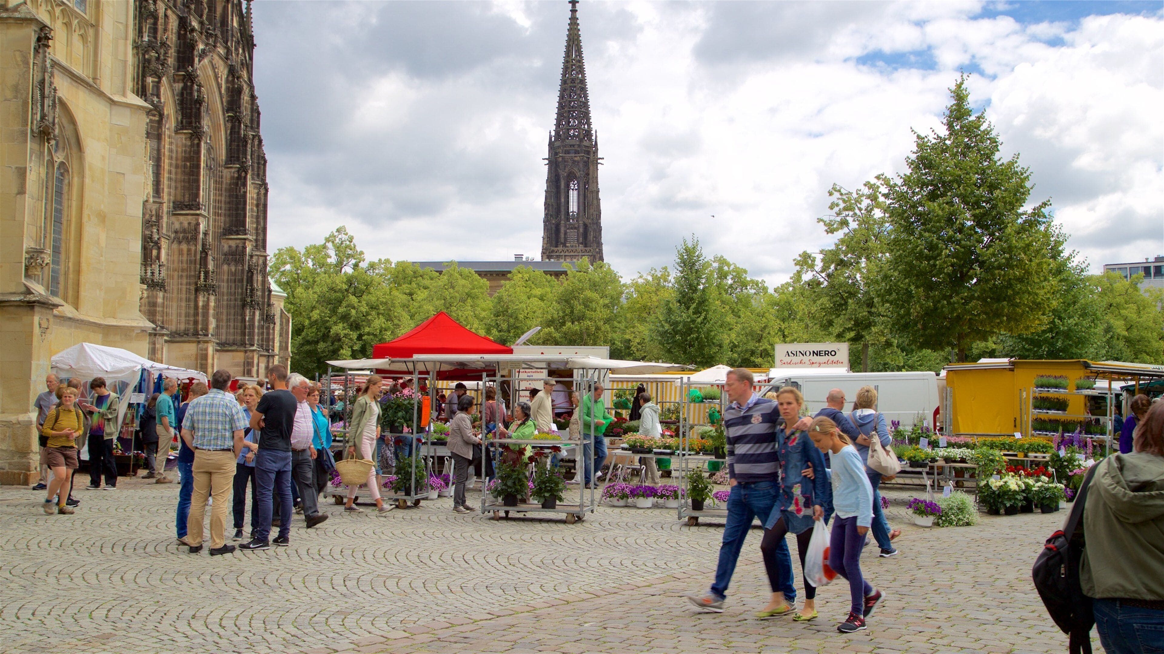 Wochenmarkt Münster showing heritage architecture and street scenes as well as a small group of people