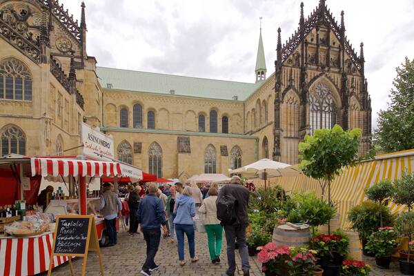 Marché Wochenmarkt Münster mettant en vedette scènes de rue, patrimoine architectural et marchés