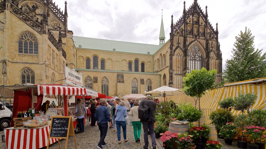 Wochenmarkt Muenster có tính năng kiến trúc di sản, hoa và chợ