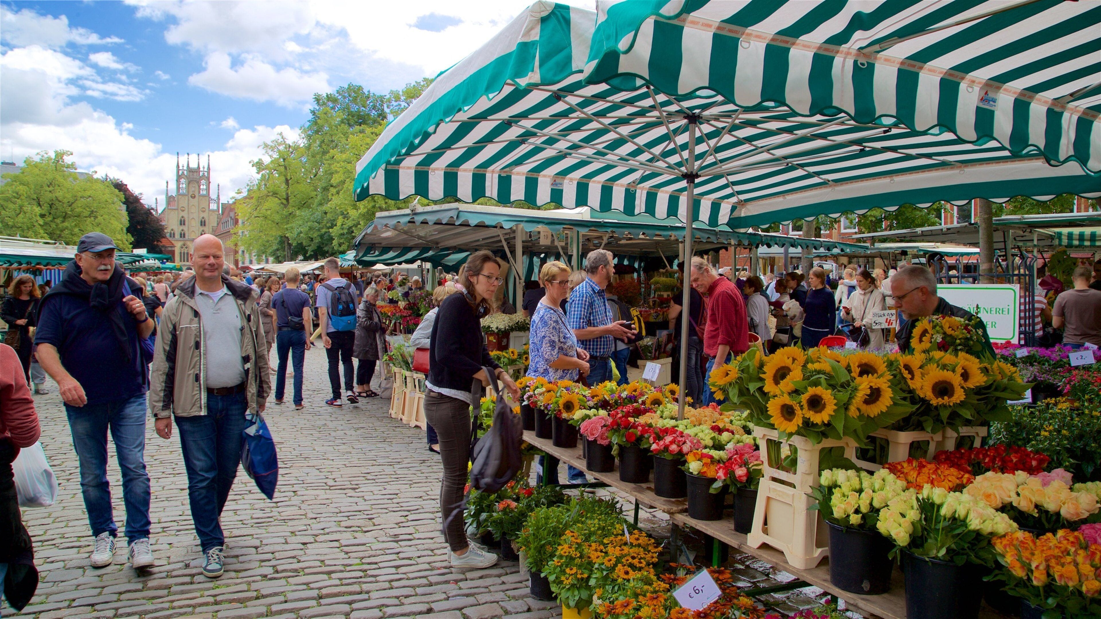 Wochenmarkt Münster som viser gatescener, marked og blomster