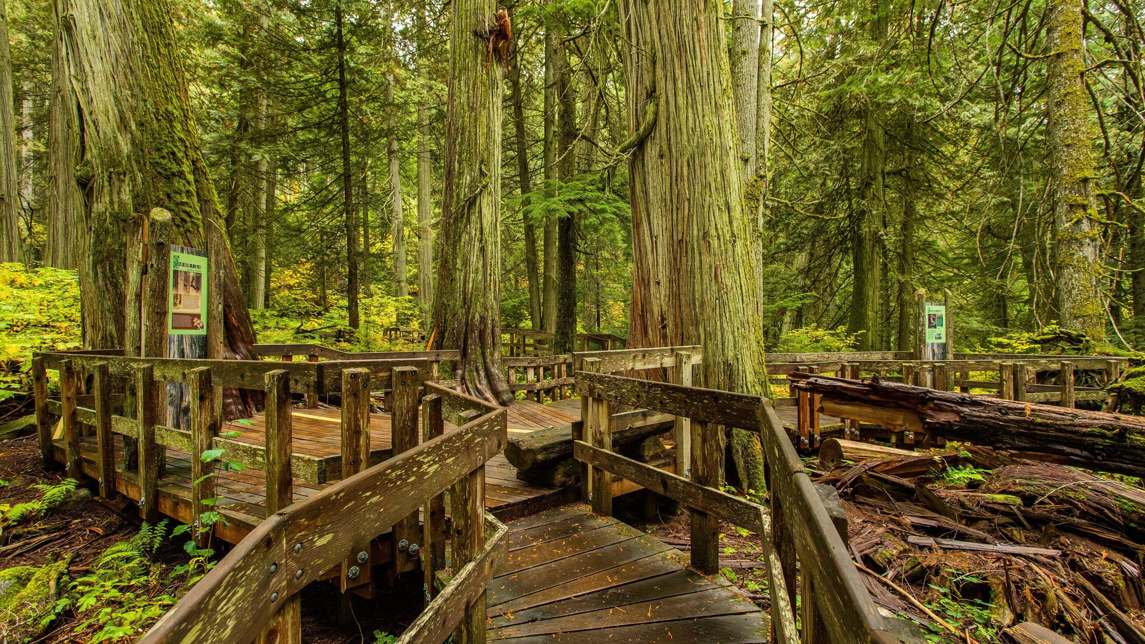 Giant Cedars Boardwalk Trail which includes forest scenes and a garden