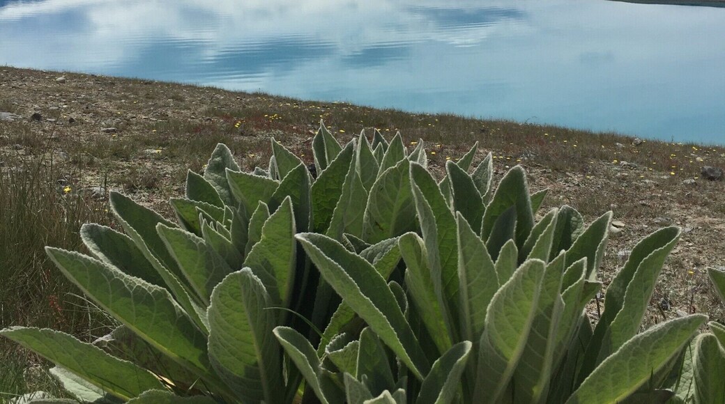 Another great stop along the 8.